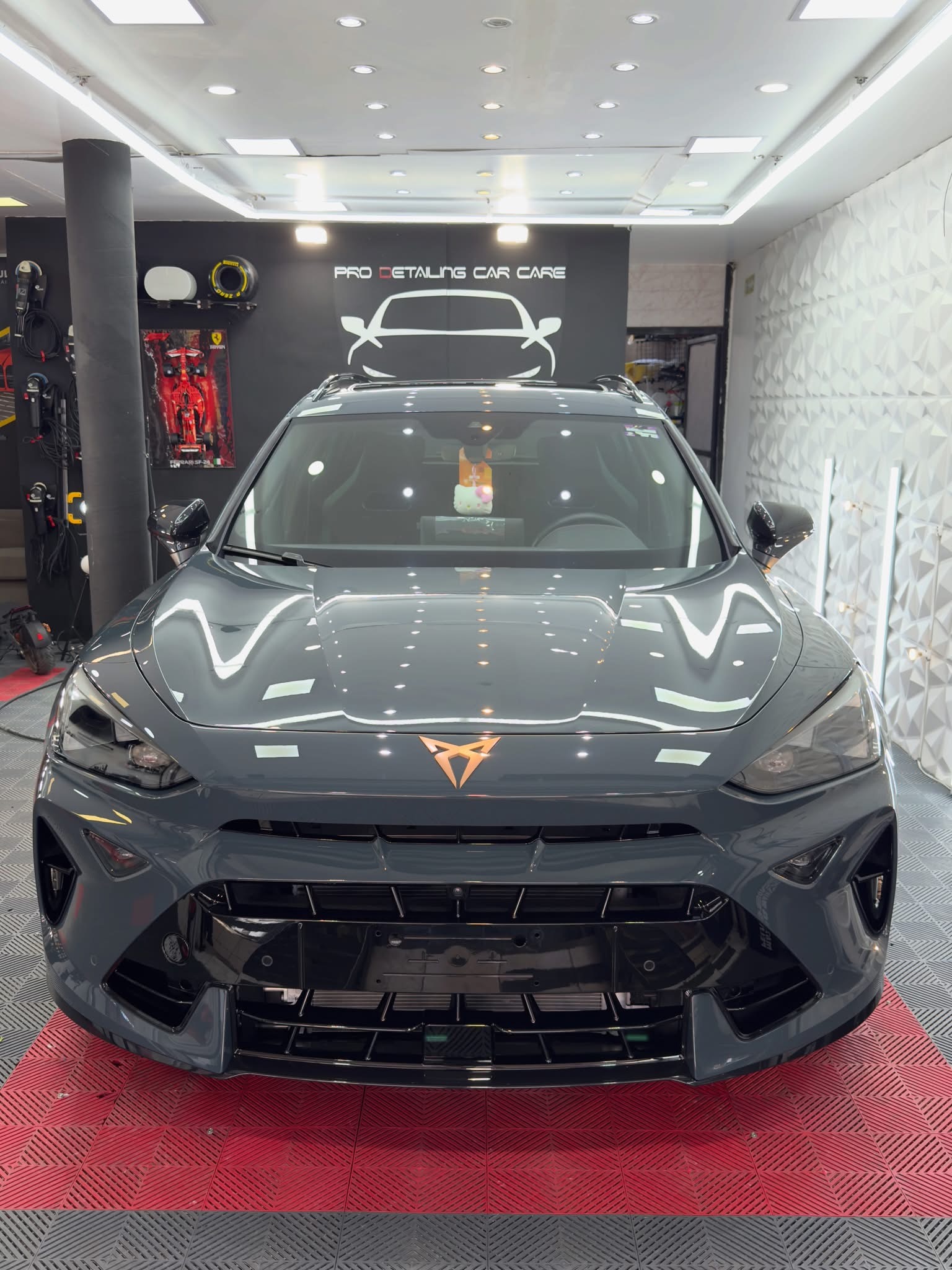 Cupra en Pro Detailing Car Care