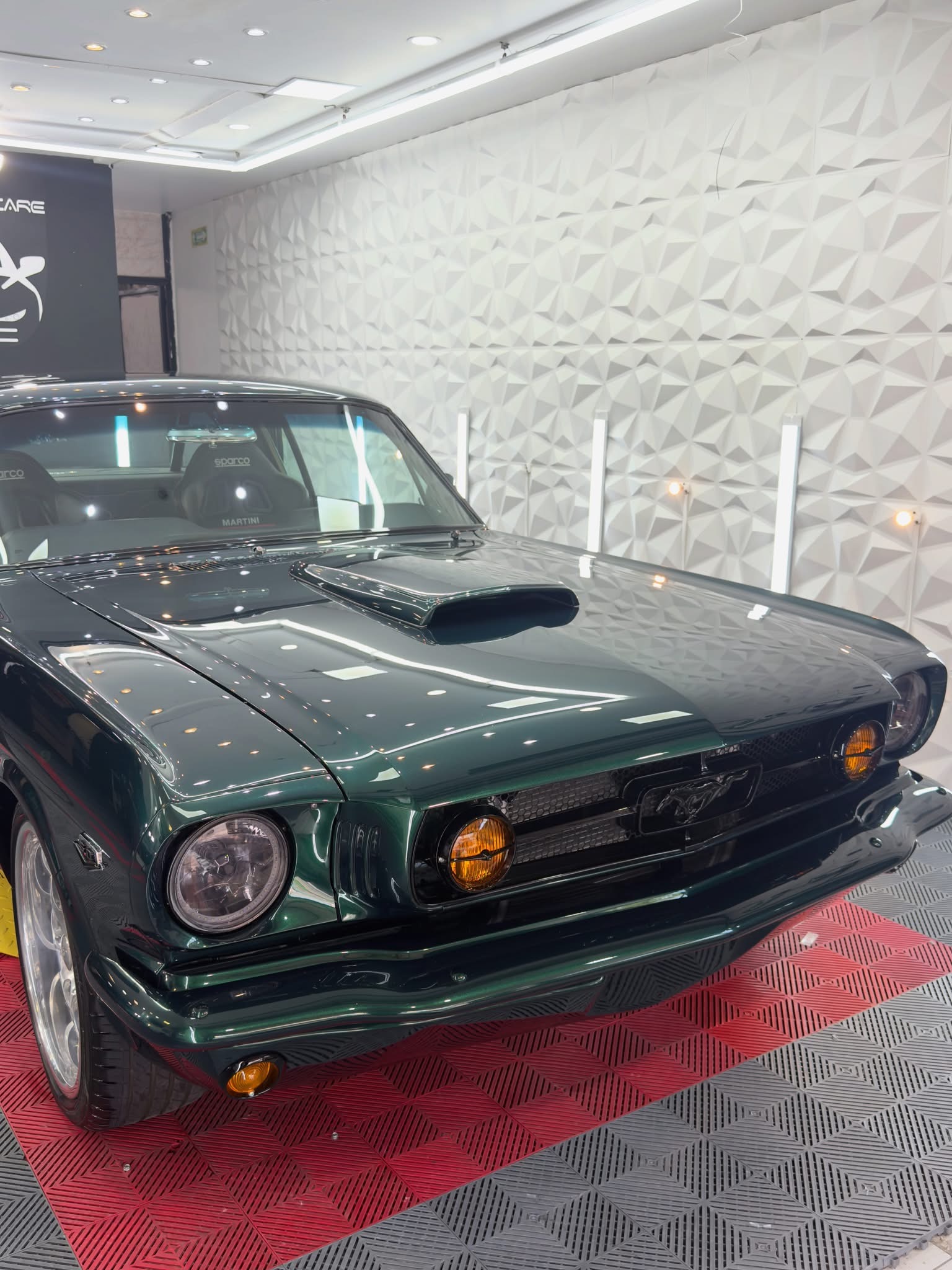 Mustang